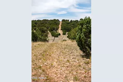000-B Pine Ridge Trail Rd -- #50, Seligman, AZ 86337 - Photo 5
