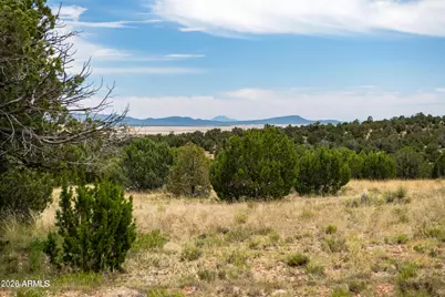 000-B Pine Ridge Trail Rd -- #50, Seligman, AZ 86337 - Photo 1