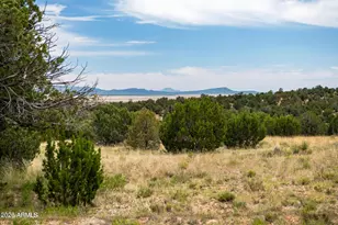 000-B Pine Ridge Trail Rd --, Seligman, AZ 86337 - Photo 1