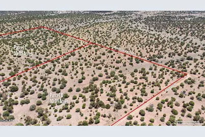 000-B Pine Ridge Trail Rd -- #50, Seligman, AZ 86337 - Photo 11