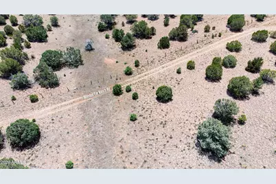 000-B Pine Ridge Trail Rd -- #50, Seligman, AZ 86337 - Photo 13