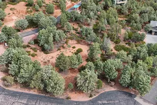 1061 S Fox Hat Trail, Pine, AZ 85544 - Photo 1