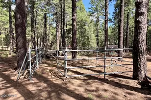 2507 Middle Loop, Forest Lakes, AZ 85931 - Photo 19
