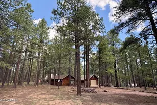 2507 Middle Loop, Forest Lakes, AZ 85931 - Photo 21