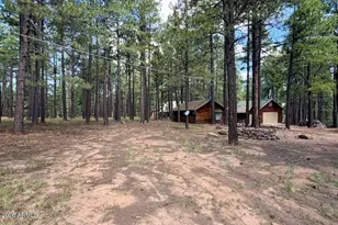 2507 Middle Loop, Forest Lakes, AZ 85931 - Photo 1