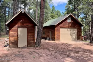 2507 Middle Loop, Forest Lakes, AZ 85931 - Photo 3