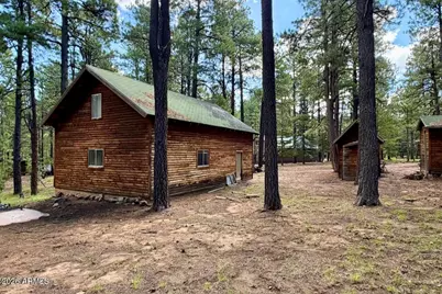 2507 Middle Loop, Forest Lakes, AZ 85931 - Photo 9
