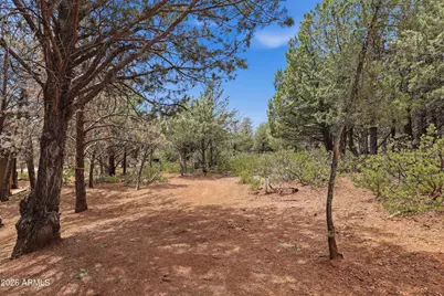 20 W Hidden Pines Loop #20, Pine, AZ 85544 - Photo 7