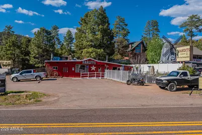 8397 W Turkey Run Drive, Pine, AZ 85544 - Photo 59