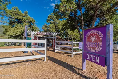 8397 W Turkey Run Drive, Pine, AZ 85544 - Photo 67