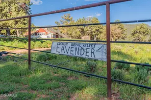 8397 W Turkey Run Dr, Pine, AZ 85544 - Photo 63
