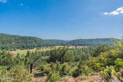 8397 W Turkey Run Drive, Pine, AZ 85544 - Photo 79