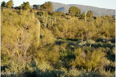 7960 Rising Sun Road #-, Carefree, AZ 85377 - Photo 9