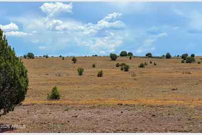 215 Gleed Station Rd Lot A 10 Acre -- #-, Ash Fork, AZ 86320 - Photo 15