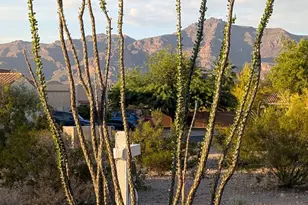 10691 E Surveyor Ct, Gold Canyon, AZ 85118 - Photo 3