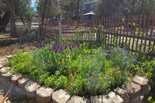 1315 N Woodland Dr, Payson, AZ 85541 - Photo 5
