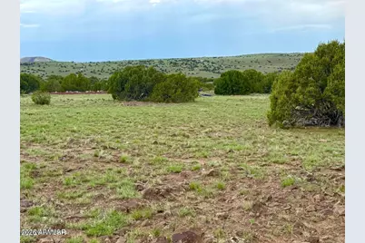 121, 125, 127 & 129 Co Rd 8051 4.14 Acre -- #-, Concho, AZ 85924 - Photo 13