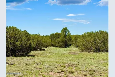 121, 125, 127 & 129 Co Rd 8051 4.14 Acre -- #-, Concho, AZ 85924 - Photo 17