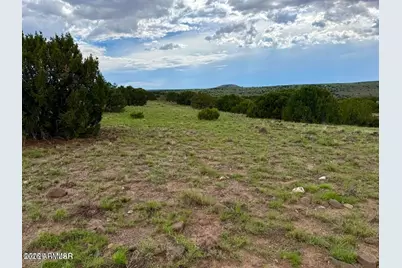 121, 125, 127 & 129 Co Rd 8051 4.14 Acre -- #-, Concho, AZ 85924 - Photo 9