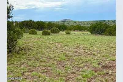 85 Co Rd 8128 Lots 100, 101 & 108 3.33 -- #-, Concho, AZ 85924 - Photo 13