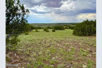 85 Co Rd 8128 Lots 100, 101 & 108 3.33 -- #-, Concho, AZ 85924 - Photo 9