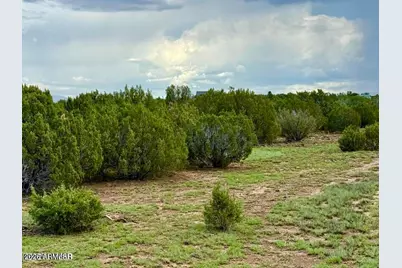 85 Co Rd 8128 Lots 100, 101 & 108 3.33 -- #-, Concho, AZ 85924 - Photo 3