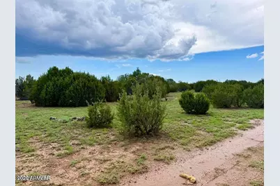 85 Co Rd 8128 Lots 100, 101 & 108 3.33 -- #-, Concho, AZ 85924 - Photo 7