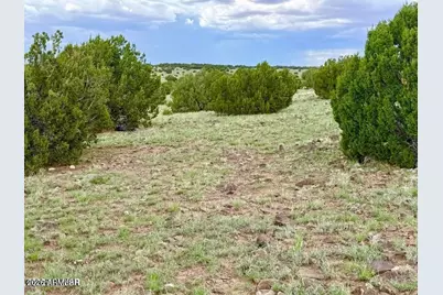 85 Co Rd 8128 Lots 100, 101 & 108 3.33 -- #-, Concho, AZ 85924 - Photo 15
