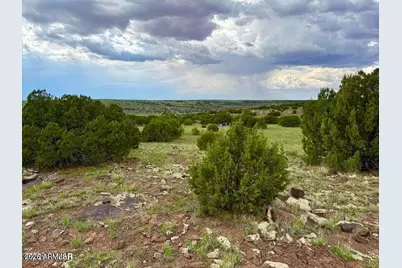 85 Co Rd 8128 Lots 100, 101 & 108 3.33 -- #-, Concho, AZ 85924 - Photo 11