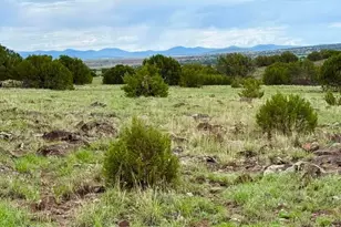 85 Co Rd 8128 Lots 100 101 & 108 3 33 --, Concho, AZ 85924 - Photo 1