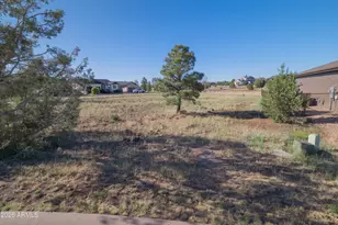 981 S Lorenzo Sitgreaves Dr, Show Low, AZ 85901 - Photo 9