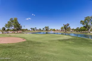 25244 S Berrybrook Dr, Sun Lakes, AZ 85248 - Photo 41