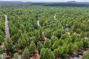 6048 Pitch Fork Ln, Pinetop, AZ 85935 - Photo 27