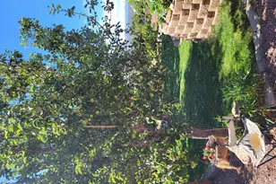 12 Navajo Dr Cr5067 --, Concho, AZ 85924 - Photo 13