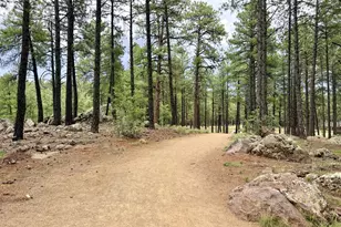 2396 W Rio Grande Ct, Flagstaff, AZ 86001 - Photo 35