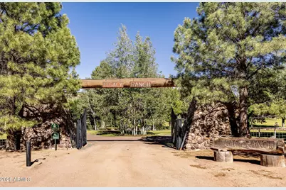 1613 Black Canyon Road, Heber, AZ 85928 - Photo 5