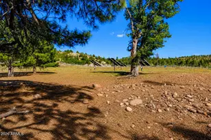 1613 Black Canyon Rd, Heber, AZ 85928 - Photo 73