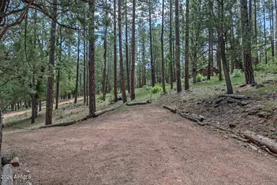 559 W Diamond Loop, Payson, AZ 85541 - Photo 33