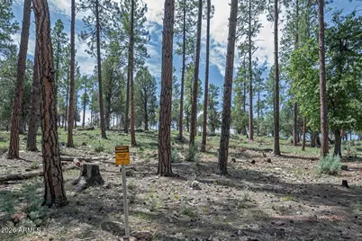 559 W Diamond Loop, Payson, AZ 85541 - Photo 31