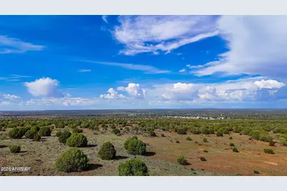 8063 Mustang Ln 10 Acres -- #-, Show Low, AZ 85901 - Photo 19