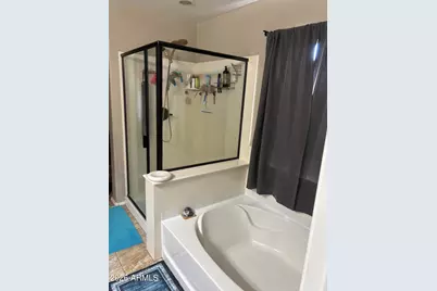 28311 N Cactus Flower Circle, San Tan Valley, AZ 85143 - Photo 11