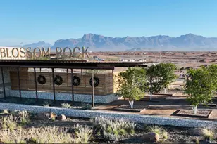 10212 S Miners Run Trail, Apache Junction, AZ 85120 - Photo 3