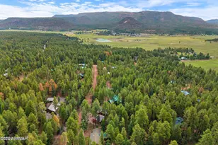 6 County Road 2068 --, Alpine, AZ 85920 - Photo 41