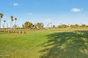 10732 W Caron Dr, Sun City, AZ 85351 - Photo 37