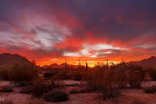 31583 N Gold Field Rd, Queen Creek, AZ 85144 - Photo 5