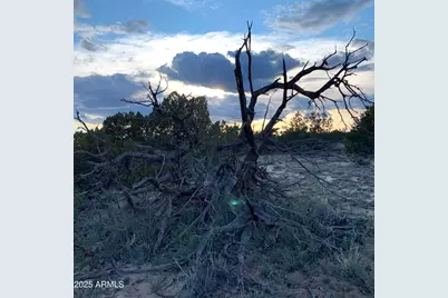 9 N7340 -- #14, Saint Johns, AZ 85936 - Photo 23