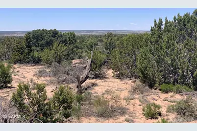 9 N7340 -- #14, Saint Johns, AZ 85936 - Photo 15