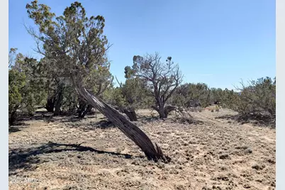 9 N7340 -- #14, Saint Johns, AZ 85936 - Photo 17