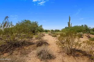 18607 E Hierro Circle, Rio Verde, AZ 85263 - Photo 39