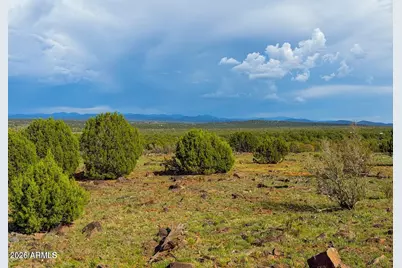 8087 Mustang Ln 20 Acres -- #-, Show Low, AZ 85901 - Photo 13